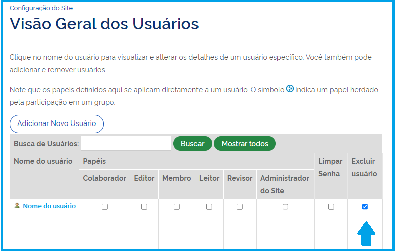 Visão da tela onde o Administrador poderá excluir um usuário