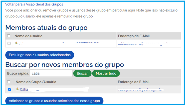 Visão da tela Inserir membros no grupo