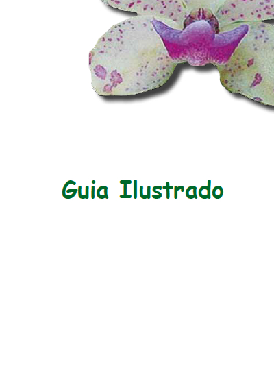 Guia ilustrado de identificação de orquídeas