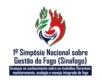 Ibama realiza, em julho, 1º Simpósio Nacional sobre Gestão do Fogo (Sinafogo)