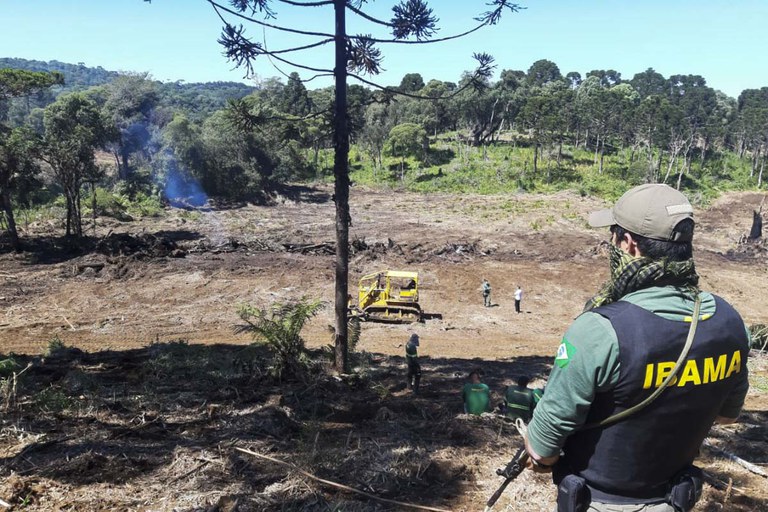 operacao_floresta_de_araucaria.jpg