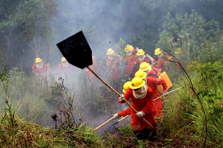 2022-03-21_treinamento_brigada_Parana_Ibama