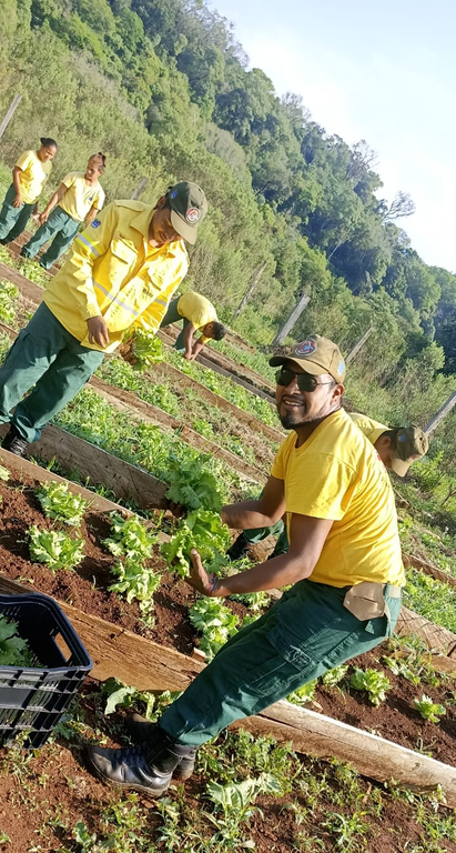 2023-10-03_Brigadistas_indigenas_do_Ibama_cultivam_e_doam_hortalicas_a_escolas_no_interior_do_Parana-1