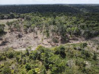 Fiscalização do Ibama embarga 148 hectares de áreas desmatadas ilegalmente, na Bahia