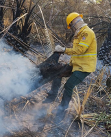 Governo Federal dobra número de brigadistas no norte do Pantanal