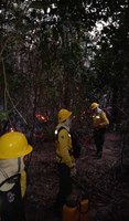Ibama ajuda a controlar incêndio florestal no Parque Serra das Confusões, no Piauí