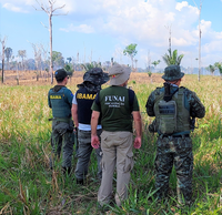 Ibama apura denúncias de 12 terras indígenas para conter crimes ambientais na Amazônia