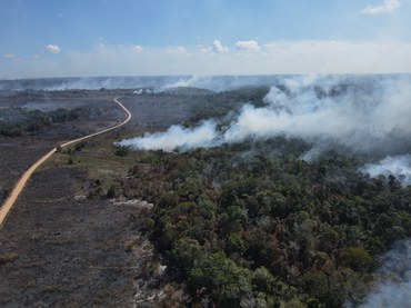 2023-12-18_combate_incendios_apa_Santo_Antonio_BA_Ibama1.jpeg