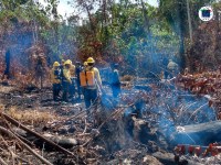 Ibama aumenta o número de brigadistas para combater os incêndios florestais no Amazonas