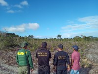 Ibama combate desmatamento em Terra Indígena da Mata Atlântica, na PB