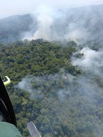 Ibama combate incêndios florestais na Reserva Extrativista Tapajós-Arapiuns, no PA