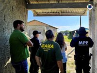 Ibama coordena o planejamento de desintrusão em manguezais, em Paranaguá (PR)