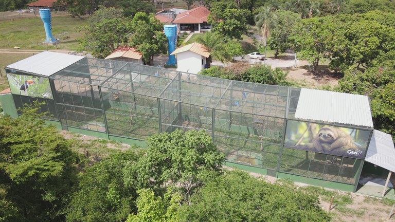 2023_12_20_Asas_Queimado_soltura_63_aves_DJI_0924_W.jpg