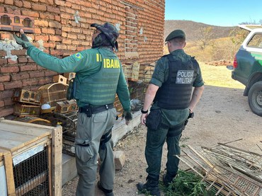 2023-12-18_operacao_fauna_flora_caatinga_PB_Ibama.jpg