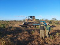 Ibama embarga mais de cinco mil hectares de áreas desmatadas ilegalmente no TO