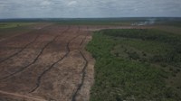 Ibama fiscaliza áreas desmatadas ilegalmente, no Tocantins (TO)