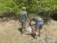 Ibama fiscaliza atividade pesqueira, no Amapá