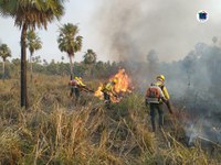 Ibama forma novos brigadistas no interior do Amazonas