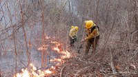 Ibama intensifica fiscalização ambiental e combate a incêndios florestais na Paraíba