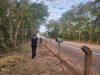 Ibama realiza vistoria técnica em rodovia no Pantanal sul-mato-grossense