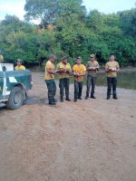 Ibama resgata peixes durante seca na Ilha do Bananal, no Tocantins