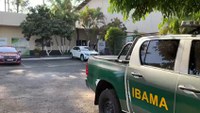 Operação do Ibama em Goiás destrói cerca de 15 toneladas de agrotóxicos ilegais
