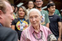 Pesquisadora Jane Goodall visita o Ibama