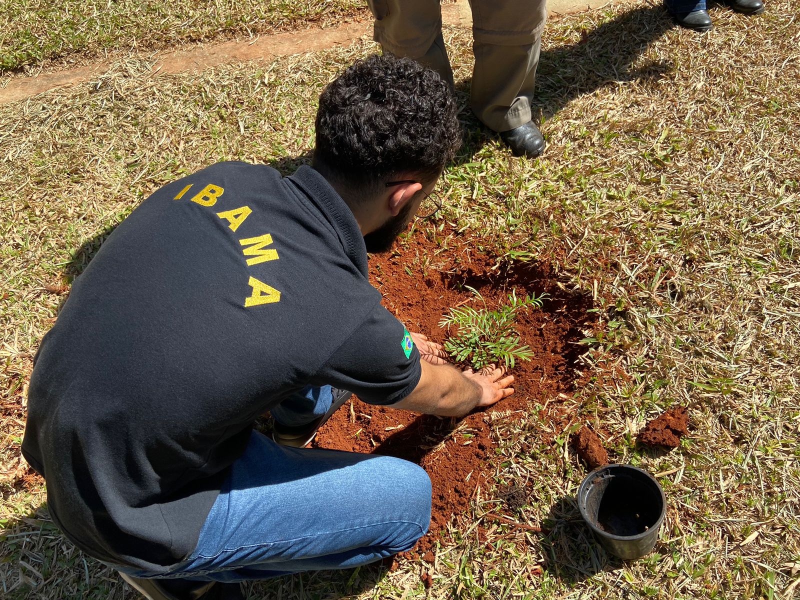 Plantio De Mudas é Destaque Na Comemoração Da Semana Nacional Do Meio Ambiente Na Sede Do Ibama 0194