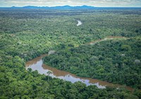 Taxa de desmatamento na Amazônia cai 22,3% em um ano