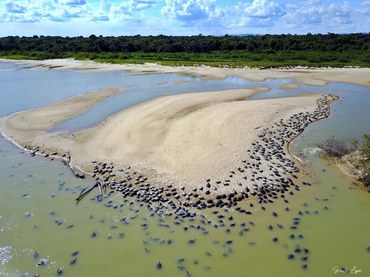 2024-02-05_PQA_foto_Paulo_Lopes_Ibama2.jpg