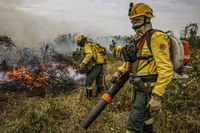 Ação conjunta apaga 55% dos incêndios no Pantanal