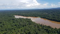 Amazônia e Cerrado têm queda de alertas de desmatamento