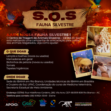 Cartaz da Campanha SOS Fauna silvestre