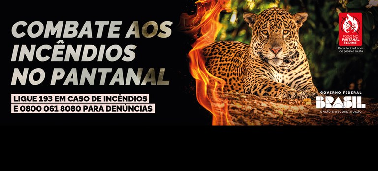 Banner com o texto combate aos incêndios no Pantanal, ligue 193 em caso de incêndios e 08000618080 para denúncias em fundo preto com imagem de fogo e de uma onça pintada em cima de uma árvore. Símbolo de fogo no pantanal é crime, pena de 2 a 4 anos de prisão ou multa. Logomarca do Governo Federal, Brasil união e reconstrução.