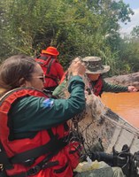 Fiscalização do Ibama/PI apreende mais de três mil metros de redes usadas para pesca ilegal