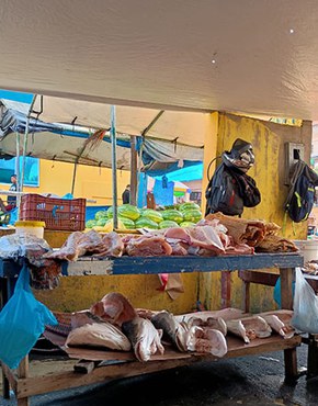 Apreensões na Operação Mota em Tefé (AM)