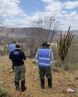 Ibama avalia viabilidade ambiental de projeto de mineração de urânio no Ceará