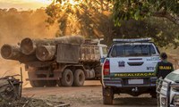 Ibama cancela placas de veículos cadastrados irregularmente em sistema de rastreio de madeira legal