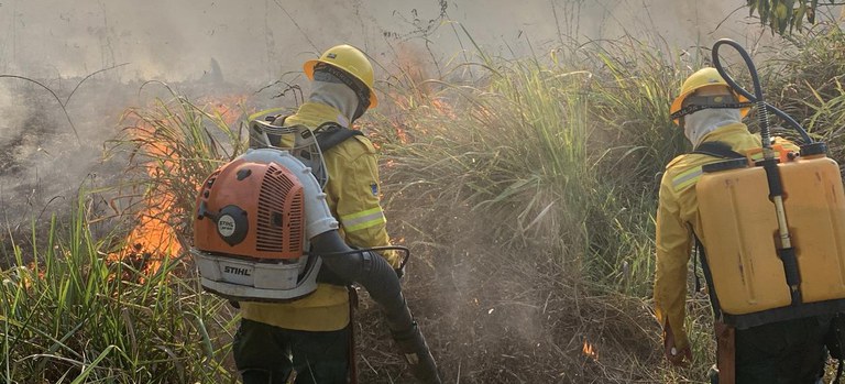 Ibama combate incêndios florestais na Terra Indígena Apyterewa, no PA