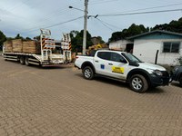 Ibama doa madeiras e motosserras a municípios gaúchos atingidos pelas fortes chuvas no estado
