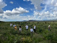 Ibama e ICMBio promovem 3º Dia de Campo no Parque Nacional da Chapada dos Veadeiros