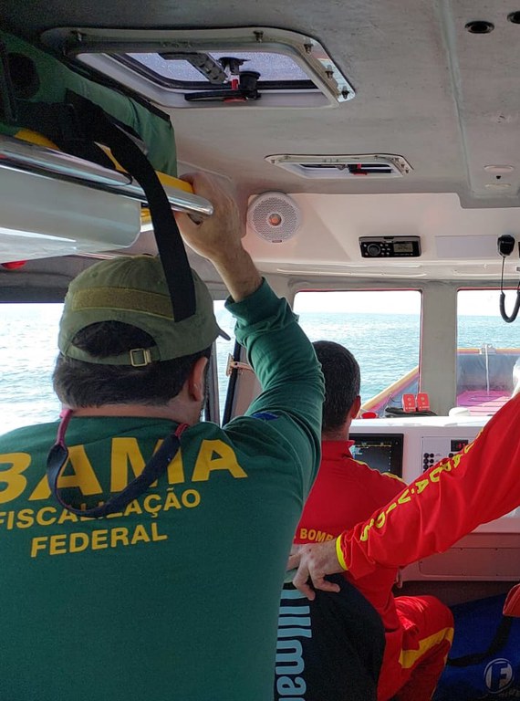 Ibama fiscalizando aproximação ilegal de barcos a baleias em Florianópolis