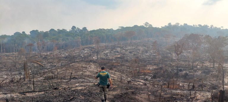 Ações de combate ao desmatamento no Pará