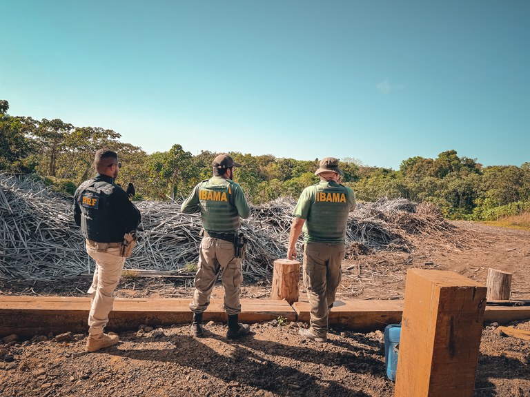 Dois agentes do Ibama e um da PRF no pátio da madeireira com pilhas de madeiras ao fundo