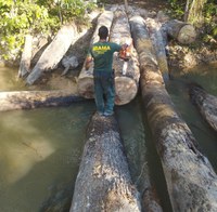 Ibama participa de operação de desintrusão da Terra Indígena Karipuna, em Rondônia