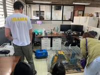 Ibama/SP ajuda vítimas das enchentes e resgata animais silvestres em extinção no RS