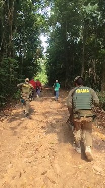 Fiscal do Ibama na Operação federal na TI Munduruku