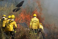 Prevfogo do Ibama planeja ações preventivas em áreas de risco de incêndios florestais