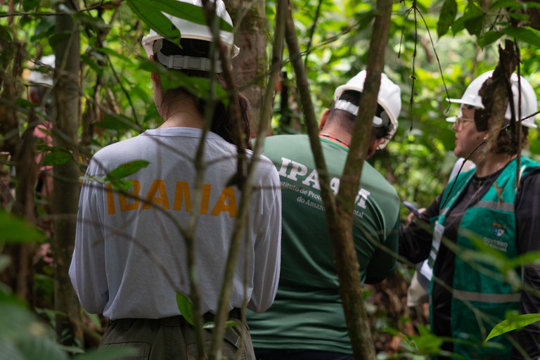 Curso de Dendrologia e Botânica Florestal, voltado para servidores de órgãos estaduais que atuam com Manejo Florestal Sustentável (MFS)