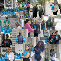 Servidores do Ibama/RJ distribuem mudas de espécies nativas da Mata Atlântica para marcar o Dia Mundial do Meio Ambiente